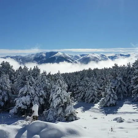 Le Renne Blanc Pyrenees De France *