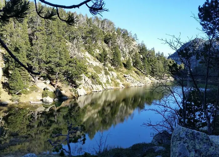 Le Renne Blanc Pyrénées De France * Font Romeu